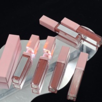 Vente flash - Gloss à lèvres à label privé avec lumière LED - Gloss à lèvres vegan - Rouge à lèvres liquide imperméable