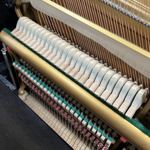 <span class=keywords><strong>Cuerdas</strong></span> de bajo extendidas <span class=keywords><strong>Yamaha</strong></span> U3M de 131 cm, clavijas de afinación de tungsteno - Product Image 2
