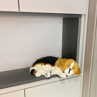 Poupée de simulation de chien en peluche personnalisée jouet pour enfants poupée Garfield armoire de voiture Tv chat suspendu en peluche ornement chien endormi poupée