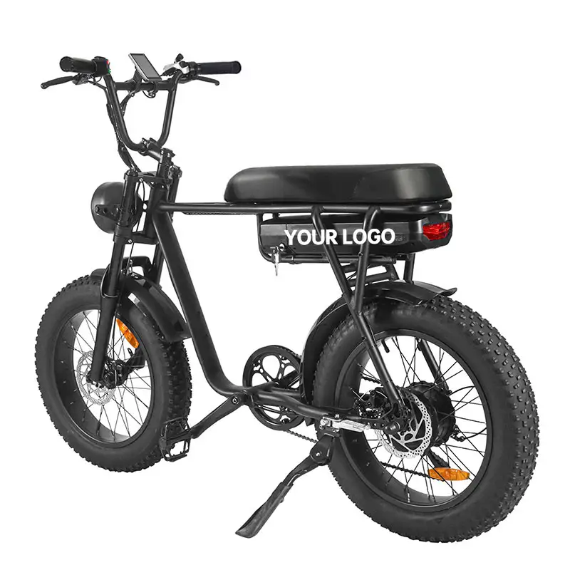 Fat electric bicycle for men 2022 New model 20 inch e bike mountain bikes for adults