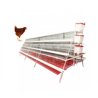 500 Cages pour poules pondeuses Cage pour poulets de chair