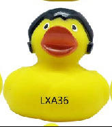 lxa36 pato frankenstein-pato de cabeza plana