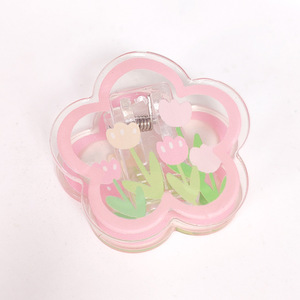 Clip en acrylique PP transparent avec motif de dessin animé mignon, pour la papeterie des étudiants, le rangement de documents et de factures, marque NASNAK, modèle PPJ-2026, vente en gros - Product Image 4