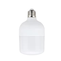 Ampoules LED de style T