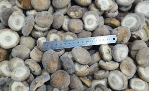 <span class=keywords><strong>IQF</strong></span> Champignon Shiitake congelé en vrac culture en serre organique avec 1000kgs prix - Product Image 6