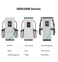 Station de charge rapide EV 60kW 80kW 120kW CC CCS2 GBT CHAdeMO Dual Guns DC Fast EV Chargeur pour flotte EV
