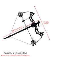 Arc composé double usage haute puissance Piaoyu, pour la chasse en plein air, arc à billes d'acier, accessoires de tir et de chasse pour adultes