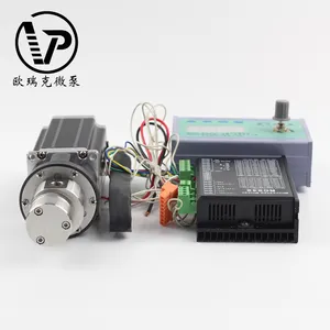 DC電流電動ステッピングモーター食品グレードギアポンプ遠方充填機ミニギアオイルポンプ小型流体ポンプ