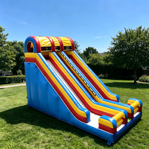Glissière sèche gonflable à double voie en PVC de qualité commerciale à usage domestique extérieur pour enfants adultes activités sportives d'arrière-cour - Product Image 1