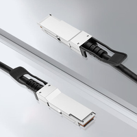 400G QSFP-DD QSFP-DD DAC Twinax Doğrudan Bağlantılı Bakır Kablo 5G Desteği 1m/2m/3m Uzunluk Bulut Veri Merkezi için Basit Kurulum