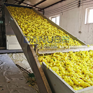 Máquina profesional de secado de mallas de muzmuz y osmanthus, equipo deshidratador de osmanthus - Product Image 1