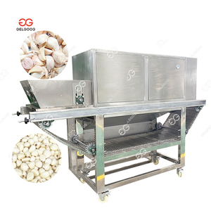 เครื่องปอกเปลือกกระเทียมขนาดเล็ก 300-500 กก./ชม. / เครื่องปอกเปลือกกระเทียมและหัวหอมในปากีสถาน - Product Image 4