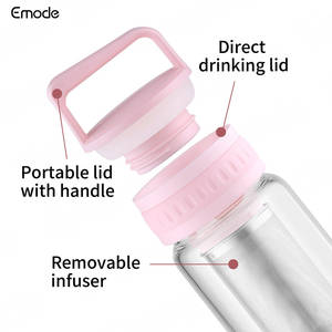 Emode 2025 New Arrive Bouteille de thé en verre borosilicaté portable de 20oz avec infuseur et poignée - Product Image 3