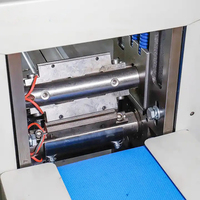HANNPRO Automatische Schwangerschaftstest-Stick-Kit Horizontale Verpackungsmaschine