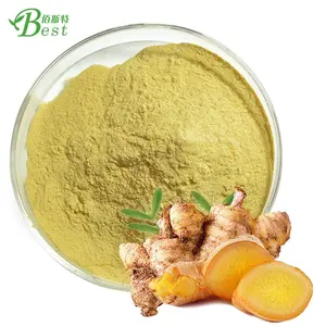 Poudre d'extrait de racine de gingembre sec de gingérol de qualité supérieure 5% à vendre poudre de gingembre