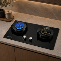 Cuisinière à gaz domestique à haute puissance, à flamme intense, avec coupure automatique de flamme, double brûleur au gaz naturel, 2 brûleurs