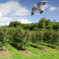 Cerf-volant répulsif anti-oiseaux en forme de faucon, écologique et inoffensif, pour la ferme et la pelouse
