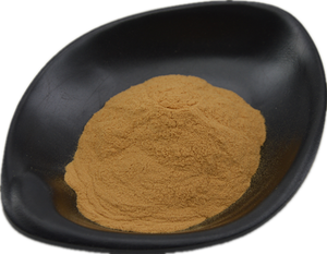 화이에르 버섯 분말 30% 트라메테 로비니오필라 추출물 분말 화이에르 버섯 추출물 - Product Image 3