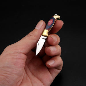 Nuevo Mini Navaja Plegable de Acero Inoxidable - Herramienta Táctica Ligera y Duradera para Viajes, Apertura de Paquetes y Envíos, con Soporte para Llavero - Product Image 3