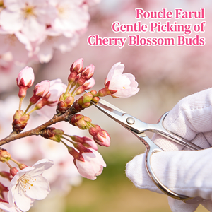 Fabricant d'huile essentielle de fleur de cerisier avec logo personnalisé, huile essentielle de <span class=keywords><strong>sakura</strong></span> 100% pure et naturelle pour la fabrication de bougies et de savons - Product Image 4