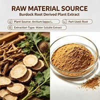 Extrait de racine d'artémisia (Arctium Lappa) en poudre hydrosoluble, matière première pour formules alimentaires et cosmétiques, fourni directement par l'usine