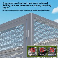 Poulailler d'intérieur et d'extérieur, grand poulailler domestique, poulailler rural, poulailler en grillage métallique pour canards