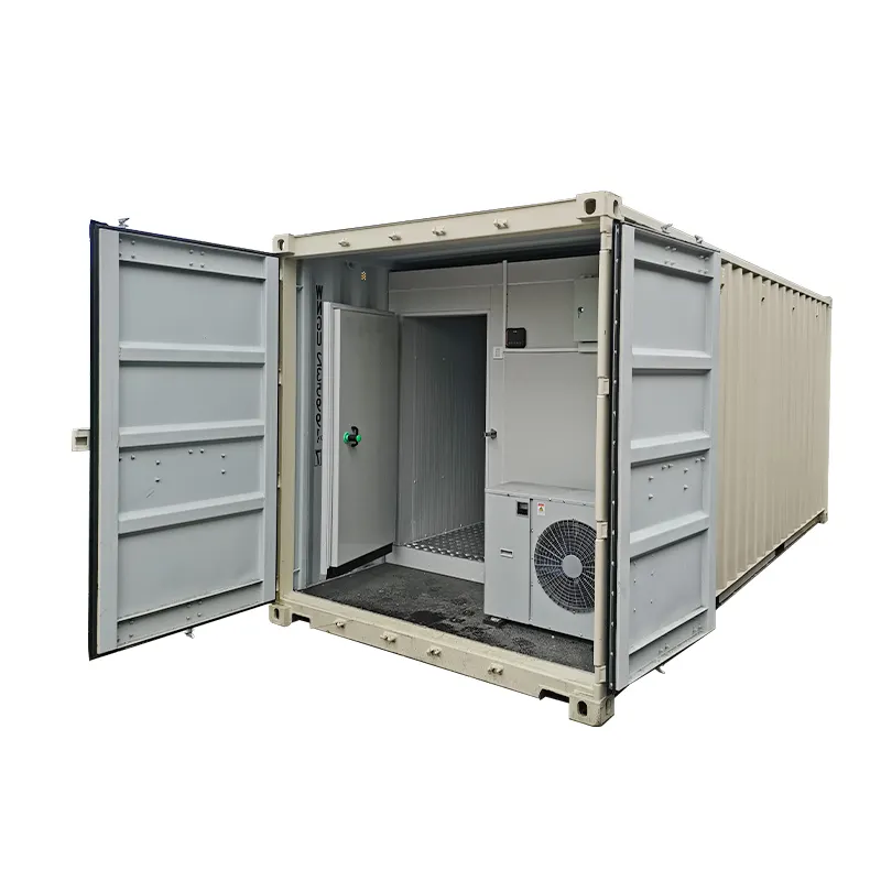 Factory Direct Supply Of Fruit And Vegetable Fresh-Keeping Container Cold Storage Room