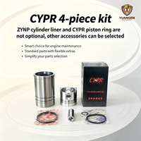 Kit complet de segments de piston et chemises de cylindre CYPR (4 pièces) pour moteur diesel monocylindre – Garantie 12 mois