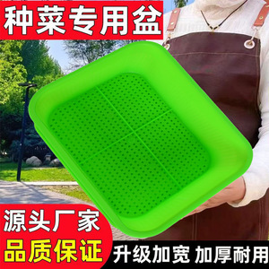 Large and thickened rectangular soilless hydroponic <b>vegetable</b> planting basin for balconies - a multi-functional tool - Product Image 2