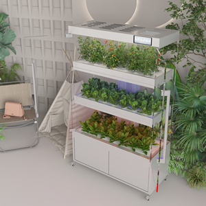 Equipo de sistema de vegetales de <span class=keywords><strong>cultivo</strong></span> sin suelo Gabinete de plantación hidropónico de vidrio <span class=keywords><strong>interior</strong></span> - Product Image 5