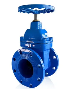 Veyron Manufacturer Ductile Cast Iron Non-rising Stem Din3352 F4 F5 Flanged Disk Plates Type Gate Valve Price List Philippines