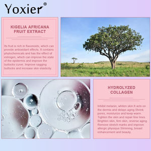 YOXIER kadın kalça popo geliştirme hızlı etkili en kalça büyütme krem - Product Image 6