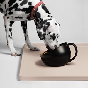 ถาดซิลิโคนกันน้ำแบบพกพาใช้ซ้ำได้เป็นมิตรต่อสิ่งแวดล้อมใช้ซ้ำได้แผ่นรองชามอาหารแมวสำหรับสัตว์เลี้ยง - Product Image 6