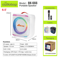 Haut-parleur portable haute puissance avec subwoofer, basses profondes, appareil audio sans fil, prend en charge TF, USB, FM pour les rassemblements en extérieur