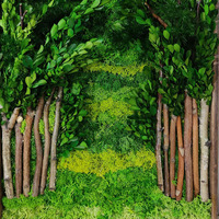 Mur de mousse préservée Nouvel An, peinture murale en mousse sur mesure, fleurs décoratives naturelles, couronnes, cadre en bois, installation incluse, paiement T/T L/C etc.