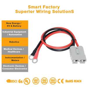 DC-DC EV 충전기용 구리 케이블 및 변환기 및 공구 용도를 위한 보호 캡이 있는 전문 배선 하네스 - Product Image 3