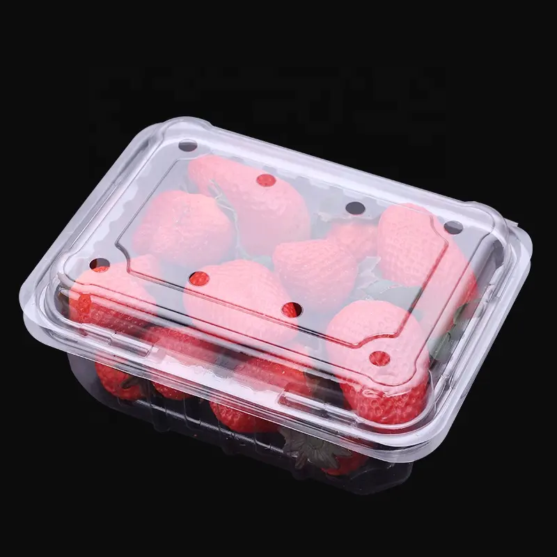 Kotak kemasan plastik buah segar hewan peliharaan transparan grosir untuk dijual wadah buah dengan lubang