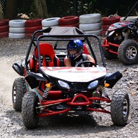 Go-Kart Todoterreno de 200 CC para Adultos, Go-Kart de Pedales Todoterreno, Karting Todoterreno Comercial de Alto Rendimiento, Personalizable Según se Necesite
