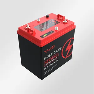 48V 60Ah 50Ah 40Ah 30Ah 20Ah 25Ah LiFepo4 Lithium batterie mit 50A BMS für Ebike Scooter Motorrad Rikscha