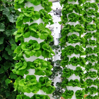 Tour hydroponique/aéroponique verticale personnalisable à 4 à 10 niveaux avec lumière LED à spectre complet en option pour la culture d'herbes à domicile ou en classe