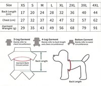 Kaos Polo Anjing Custom Pabrik, Kaos Anjing Bergaris Warna-warni, Pakaian Anjing Musim Panas untuk Bichon Schnauzer, Pakaian Hewan Peliharaan Terlaris