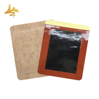 Produit en gros Tissu Spunlace Patch transdermique à base de plantes Corps Sciatique Nerf Soulagement de la douleur Plâtre