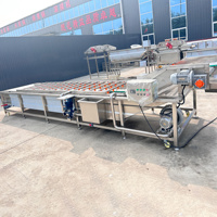 Automatische Groente Fruit Bevroren Molokhia Machine Bevroren Molokhia Verwerkingslijn