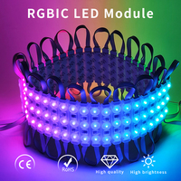 Module LED RGBIC 3LED 3030 1.2W DC12V, moulé par injection, adressable, 160 °    Éclairage LED étanche à point de rupture de faisceau pour signalétique