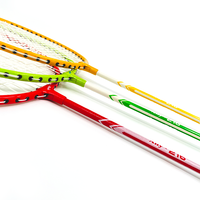 Raquettes de badminton professionnelles légères, vente en gros en usine chinoise