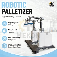 Palettiseur robotisé haute vitesse HEKON, système de palettisation automatique pour cartons, sacs, aliments et boissons