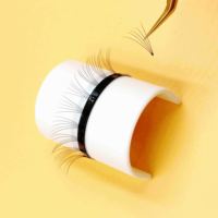 DRAGPNLASH Spitz zulaufende vorgefertigte Hybrid Light Volume Wimpernverlängerungs-Fächer 10D mit kurzem Stiel 0.07 Tray Handgemacht CC/DD 12 Reihen Superweich
