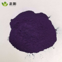 Nouvelle poudre de pigment bleu organique B12 1 kg pour les applications de peinture sur plastiques recyclés, caoutchouc et revêtements en cuir