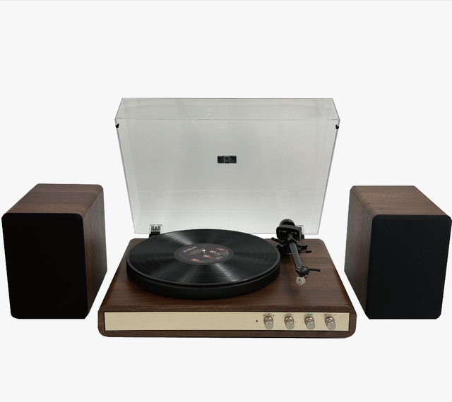 2 Speed Professional Turntable with Phono Out, BT Input,Line Out and 2 External Speakers