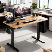 Bureau assis-debout électrique ergonomique pour le télétravail et l'étude, design moderne, réglage de la hauteur motorisé, table convertible